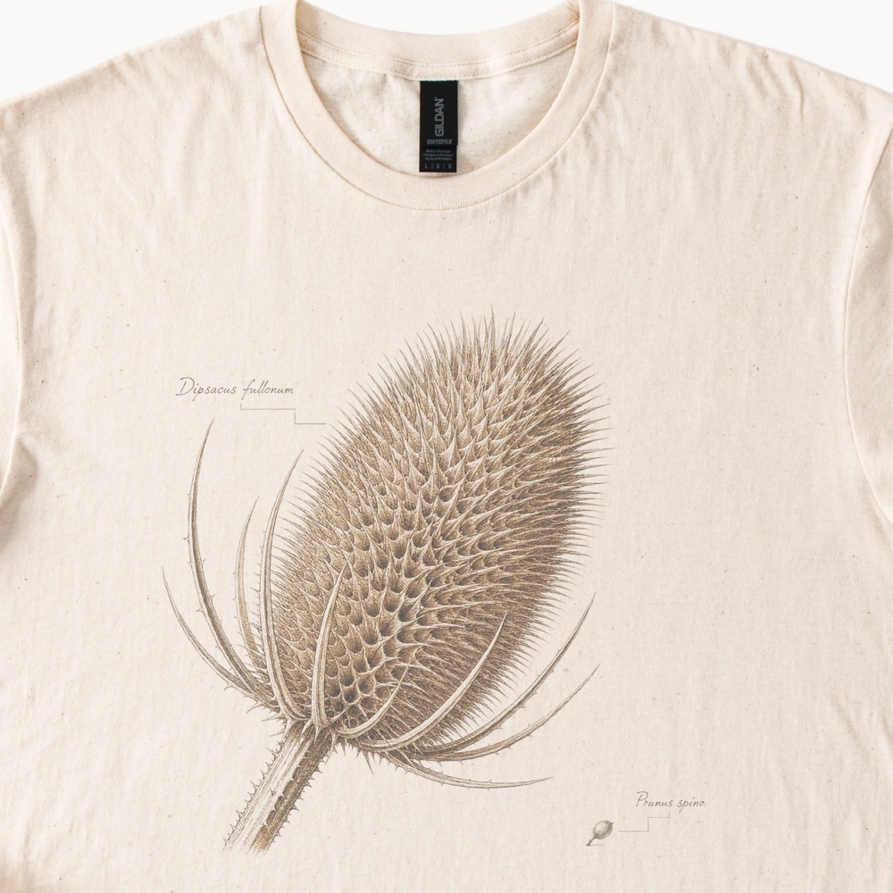 Dipsacus Fullonum Spiny Seed Head Specimen Tee